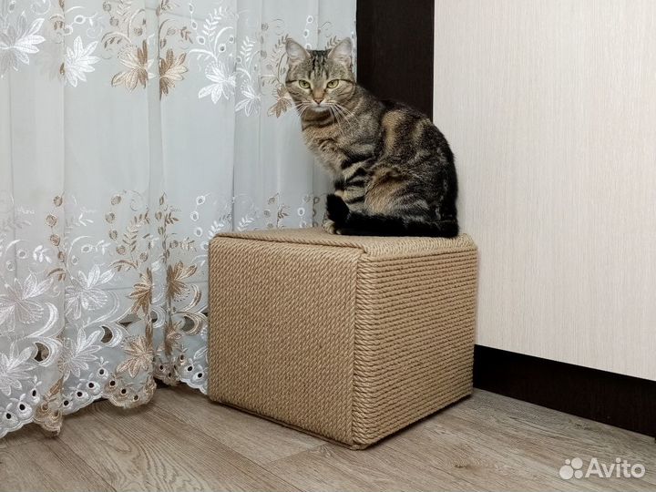 Когтеточки для кошек разных размеров