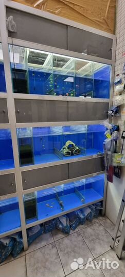 Стойка для аквариумных рыб