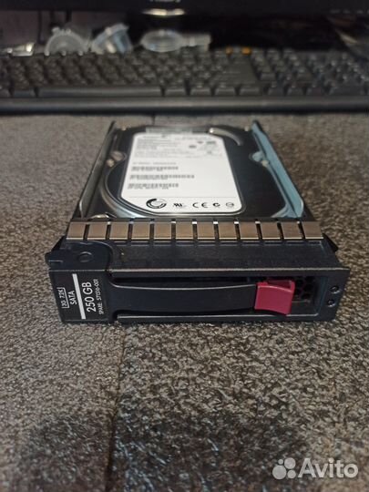 Жесткий диск 571516-001 HP 250GB 3G SATA 7.2K LFF