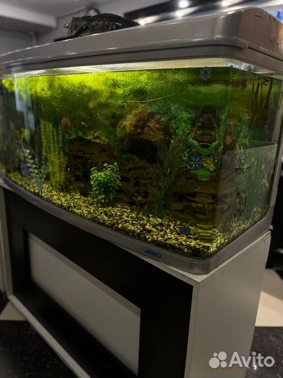 Аквариум 300 литров