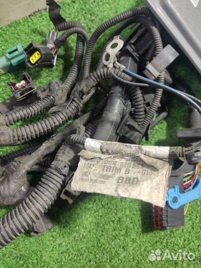 Проводка двс Ford Focus 2+ хэтчбэк 1.6 shda 2008