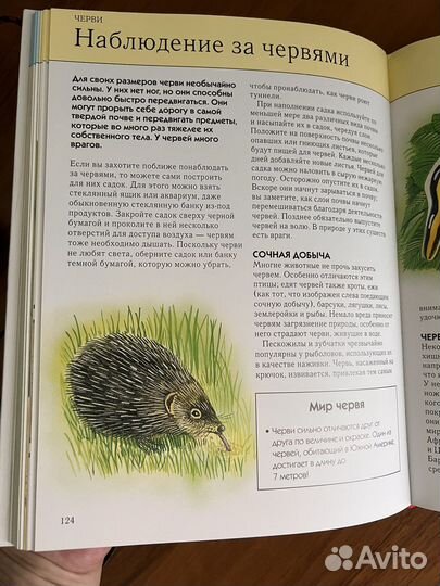 Энциклопедия