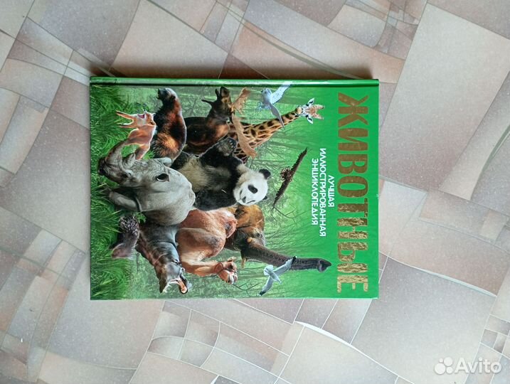 Познавательные книги для детей