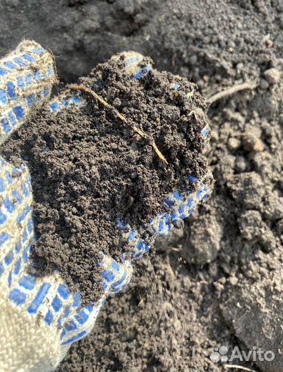 Чернозем, торф