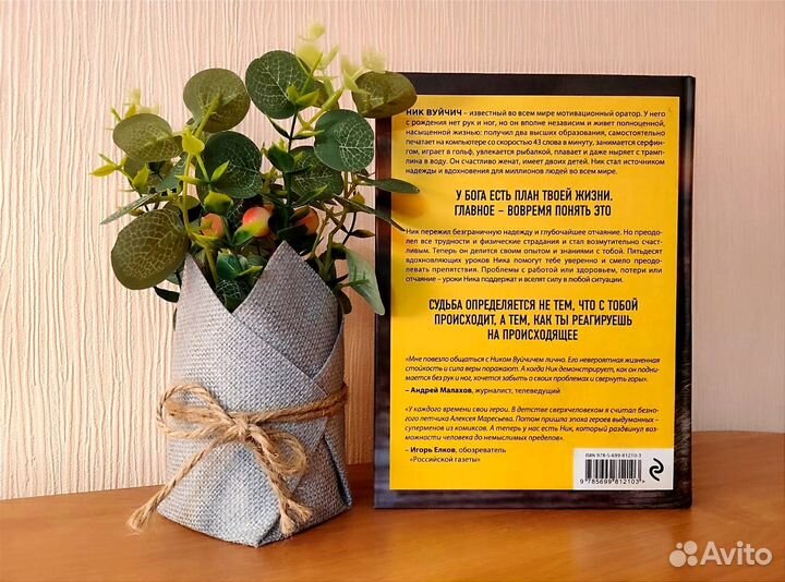 Книга Безграничность Ник Вуйчич