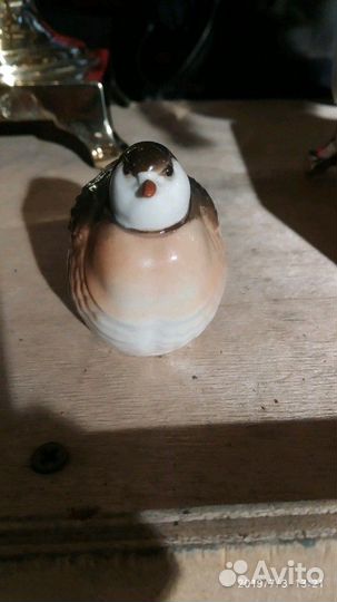 Куропатка лфз состояние