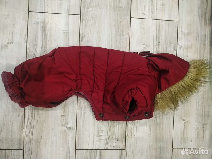 Комбинезон для маленькой собачки(мальчик)