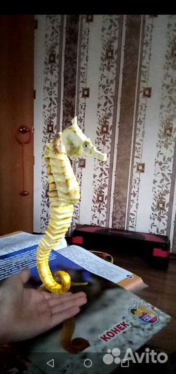 3д энциклопедии