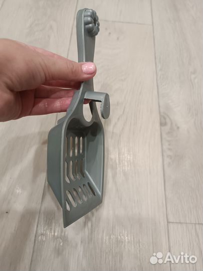 Совок кошачий