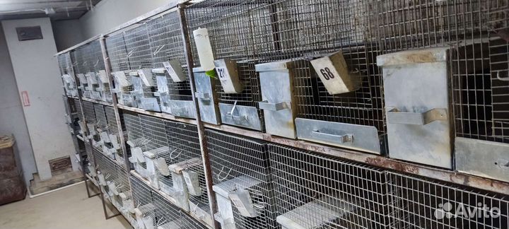 Клетка для грызунов