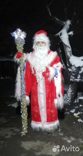 Дед Мороз на дом