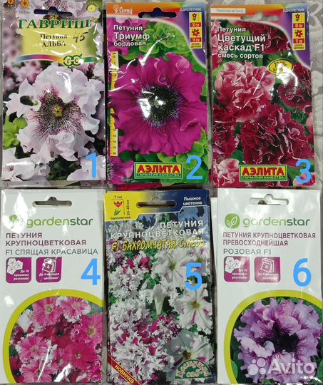 Рассада петуньи ампельной и кустовая