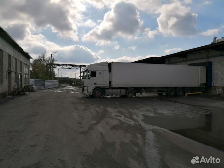 DAF FT XF 105.460, 2013