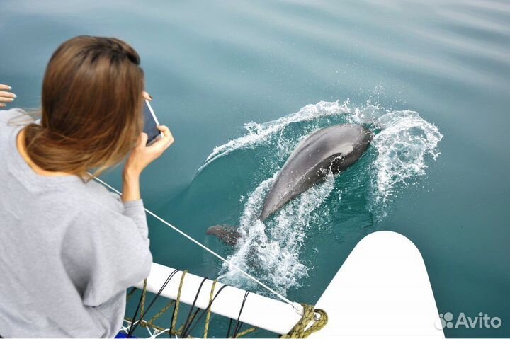 Аренда яхт / Морские прогулки / Рыбалка