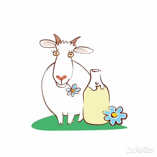 Продам козье молоко