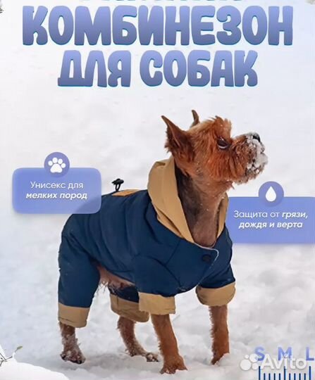 Комбинезон для маленьких собак. DaDaGou