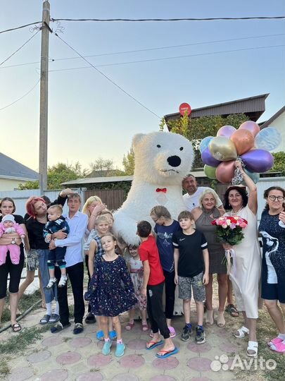 Аниматор белый медведь