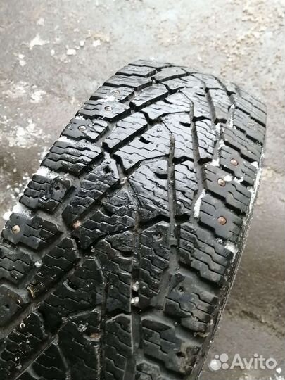 Nokian Tyres Hakkapeliitta C3 205/75 R16