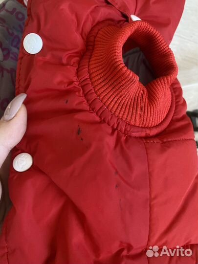 Одежда для собак