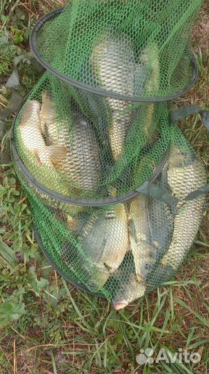 Рыбалка отдых база отдыха беседки