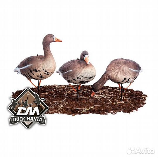 Чучела гусей белолобый softplast 3D