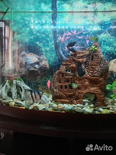 Аквариум с тумбой