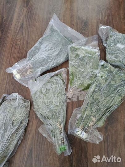 Свежие замороженные веники в вакуумной упаковке