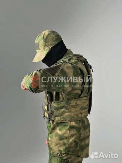 Плитник Сухопут