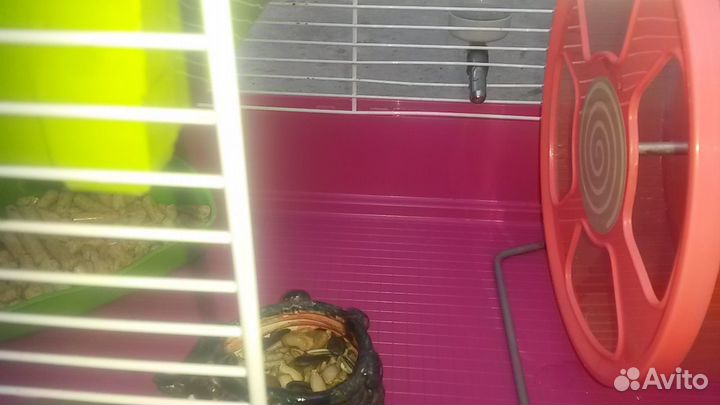 Клетка для грызунов