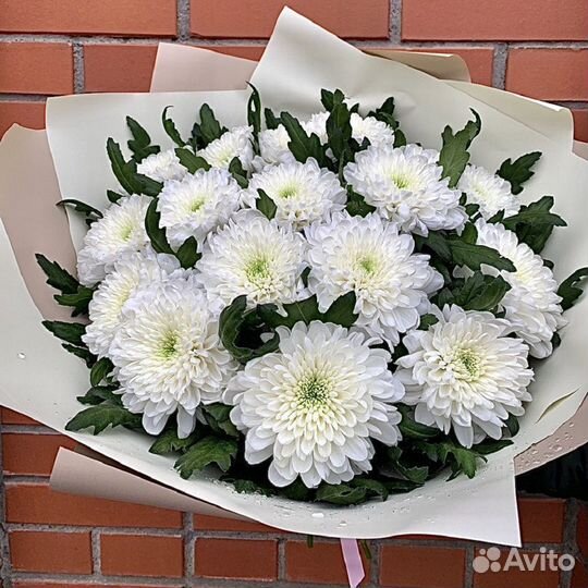 Букет из одноголовой Хризантем Букет Владимир