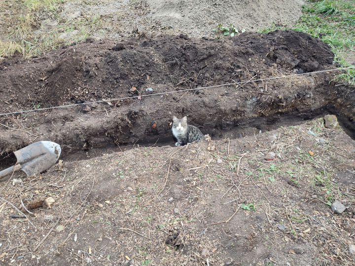 Участок 8 сот. (СНТ, ДНП)