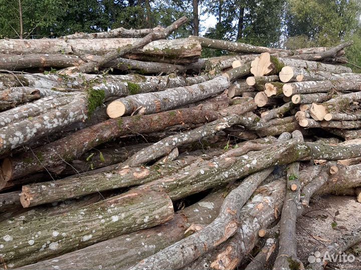 Дрова колотые и пеньками