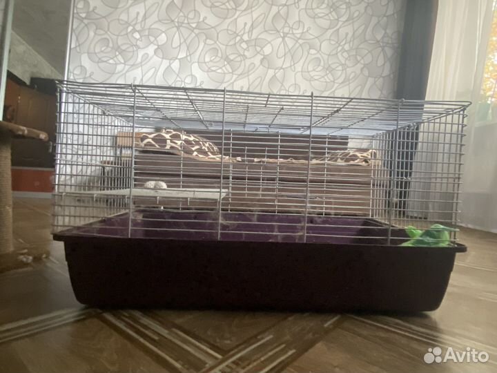 Клетка для кролика