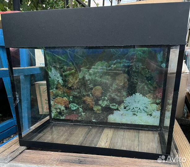 Аквариум