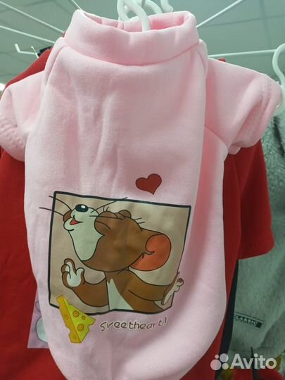 Одежда для собак