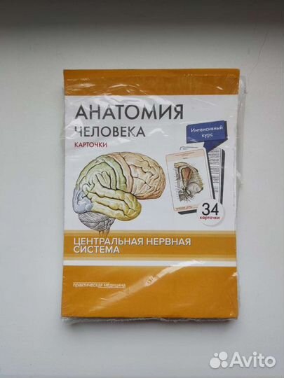 Карточки по анатомии Сапин