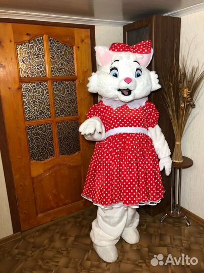 Поздравление мишки Тедди и белого кота