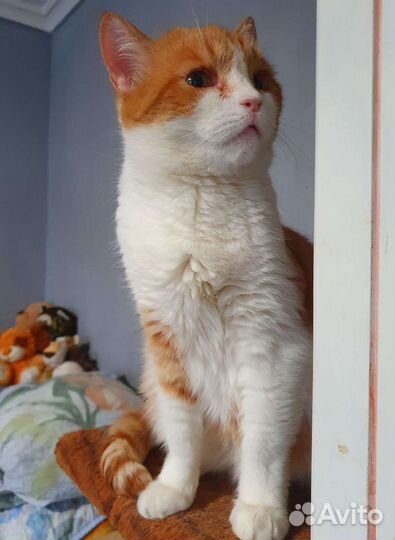 Мама не видит Веснушку,листает,листает, и не видит