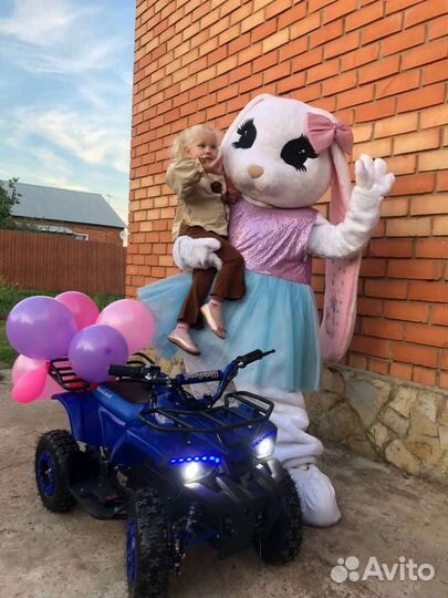 Зайка, ростовая кукла, экспресс поздравление