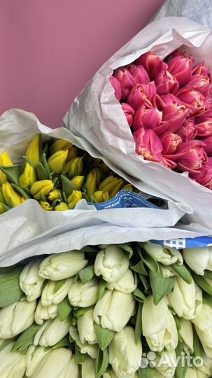 Тюльпаны для поздравлений букет на 8 марта