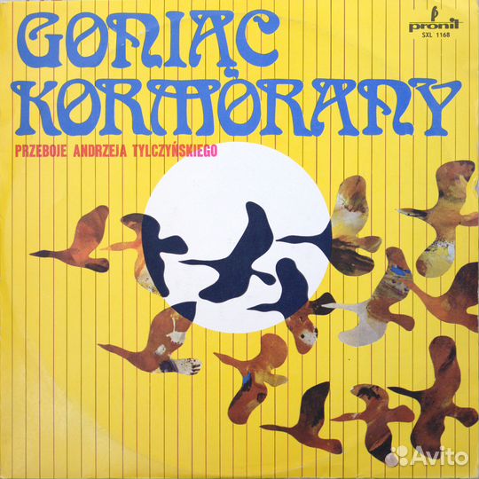 Gonic Kormorany - Przeboje Andrzeja Tylczyskiego