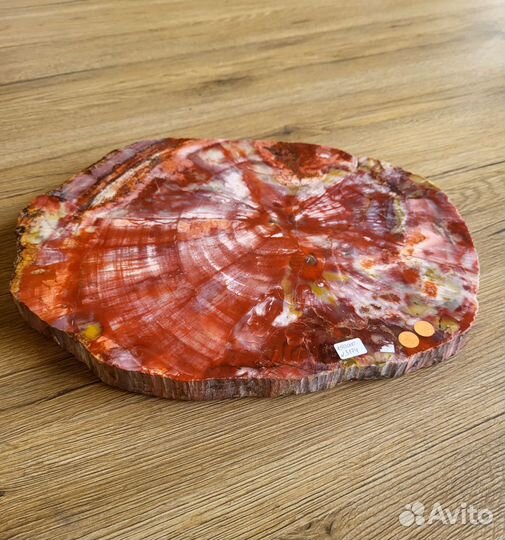 Окаменелое дерево