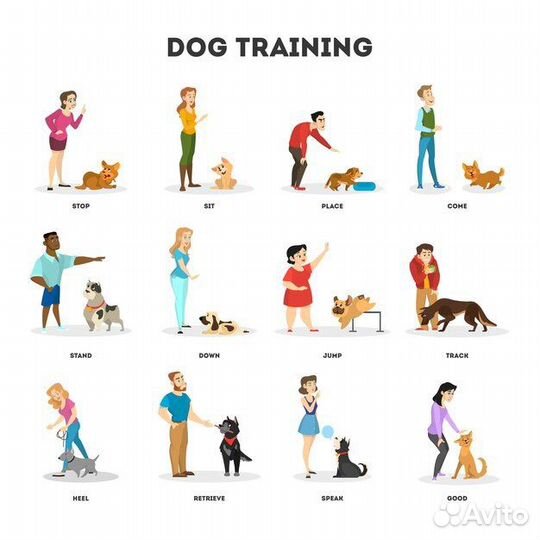 Кинология. книги и обучение