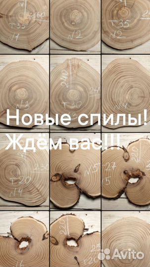 Слэб дерева и спилы