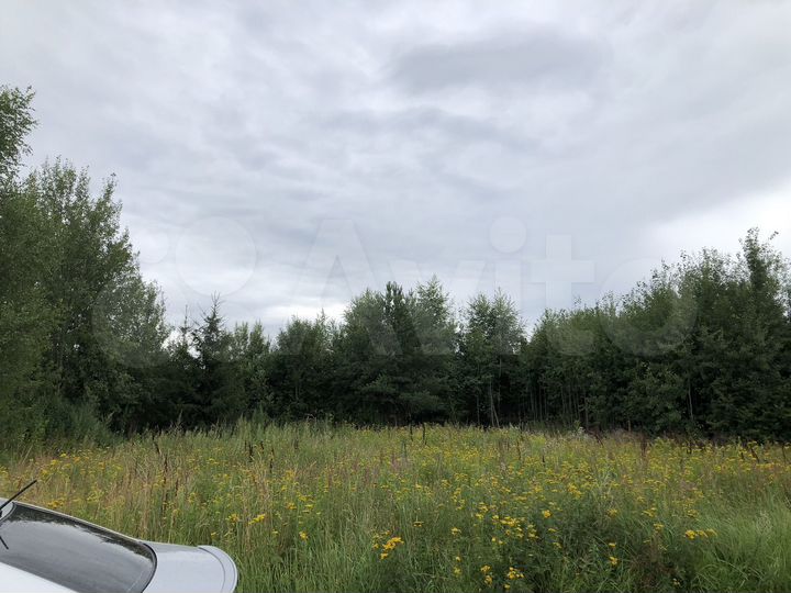 Участок 10 сот. (СНТ, ДНП)