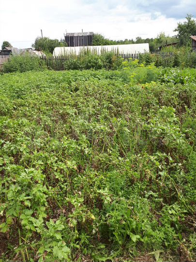 Участок 6 сот. (СНТ, ДНП)