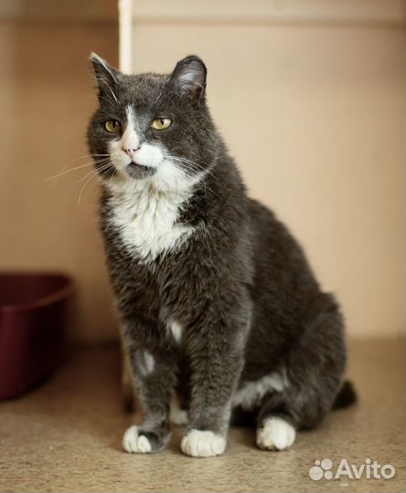 Оливеру очень нужна семья