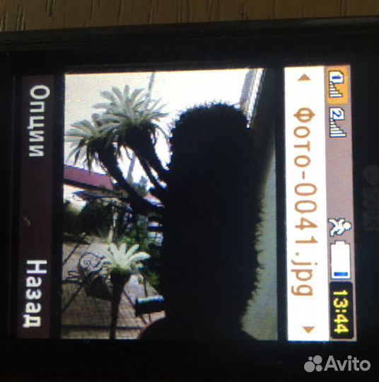 Кактус в горшке