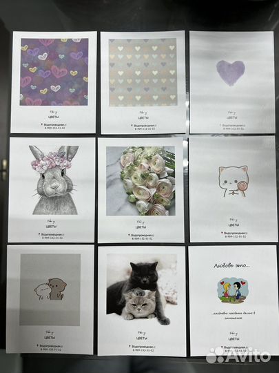 Гипсофила живые цветы букеты доставка