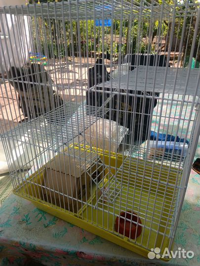 Клетка для грызунов большая
